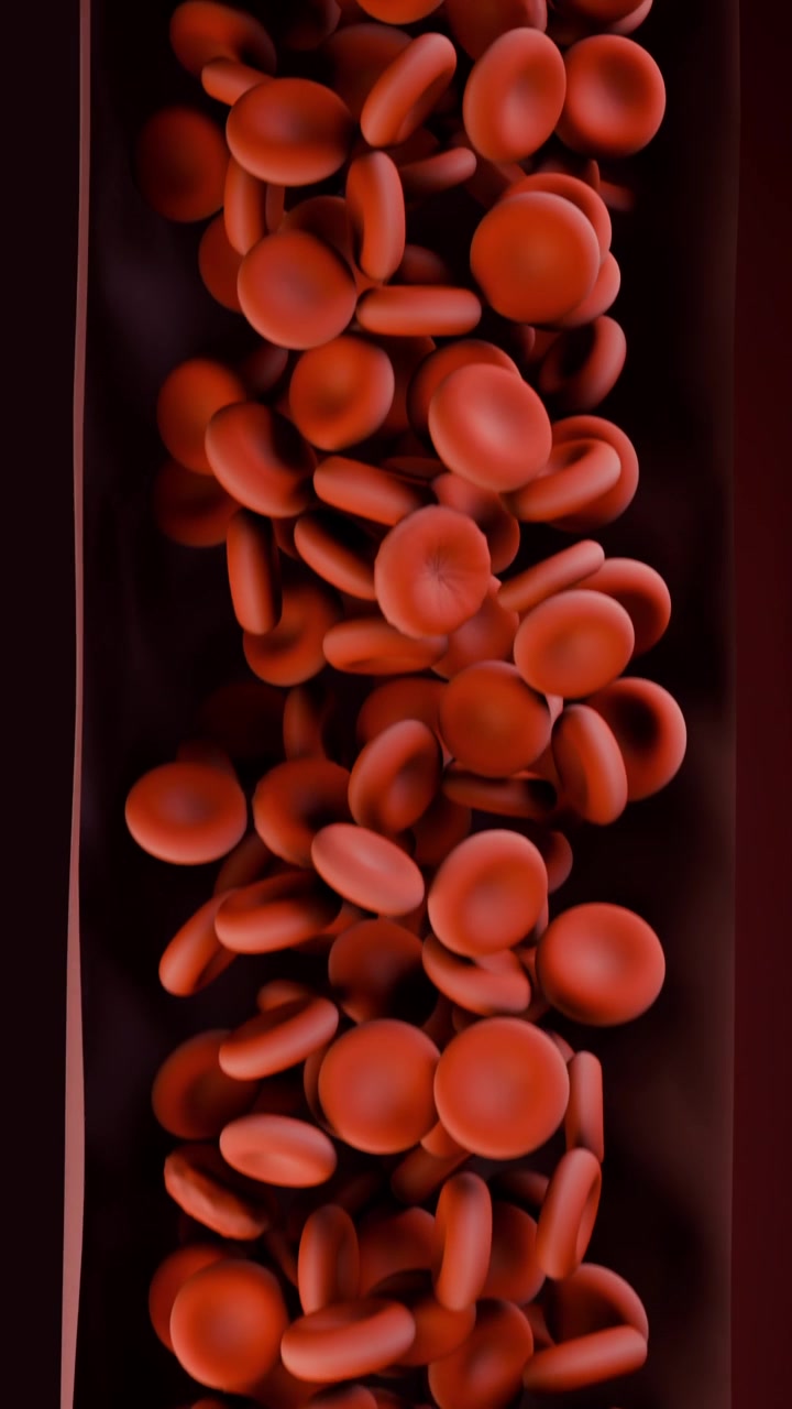 Video verticale: telecamera che zooma catturando globuli rossi che si muovono in un vaso stretto, mostrandone il movimento