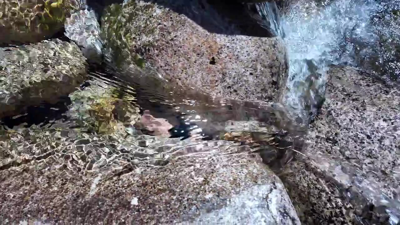 Crystal clear water gently flows over smooth river rocks in a pristine Belgian wilderness, illuminated by bright sunlight. Captured in slow motion for a tranquil, natural effect.