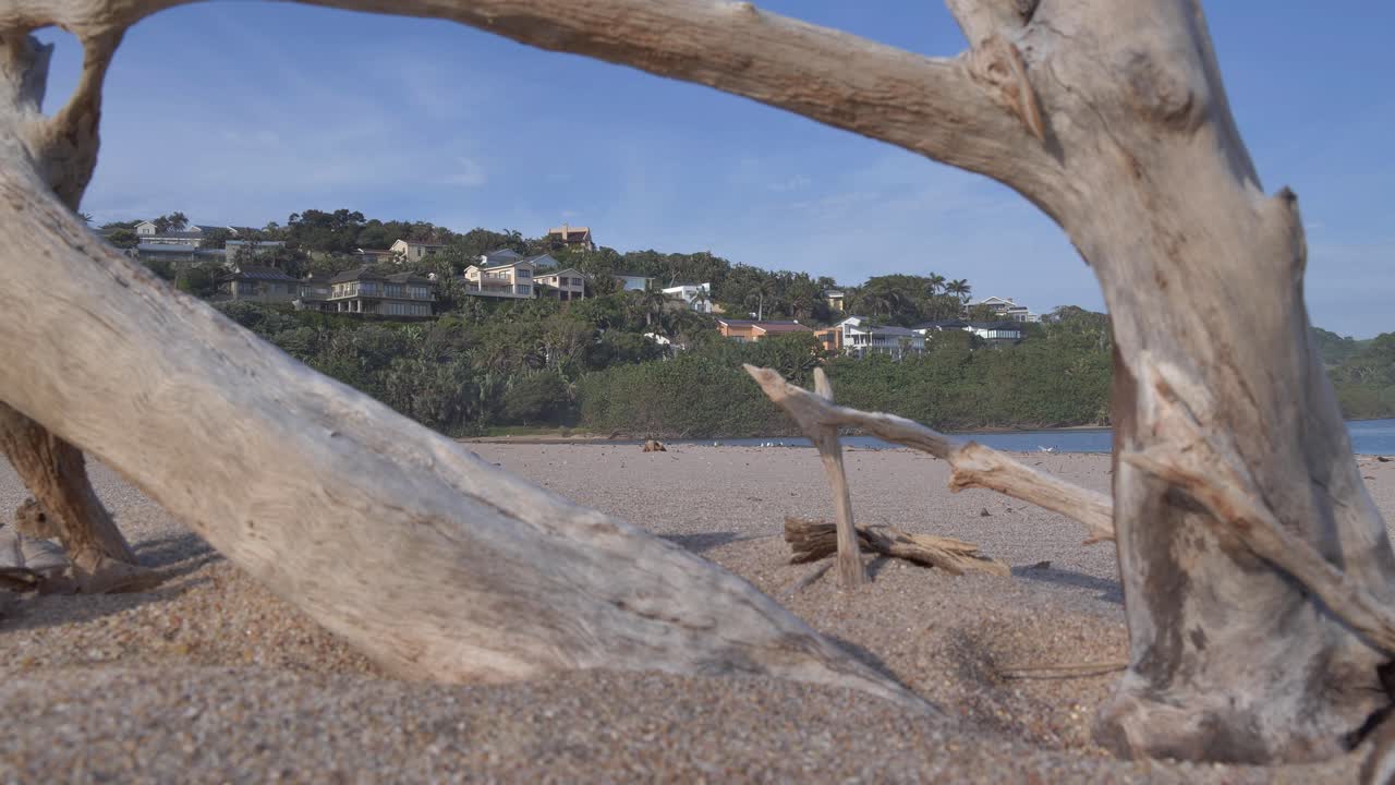 Un grande pezzo di legno levigato dalle intemperie riposa su una riva sabbiosa, incorniciando una vista di case su una collina lussureggiante e verde, e una laguna con uccelli sotto un cielo azzurro e limpido a Southbroom, KwaZulu-Natal, Sudafrica.