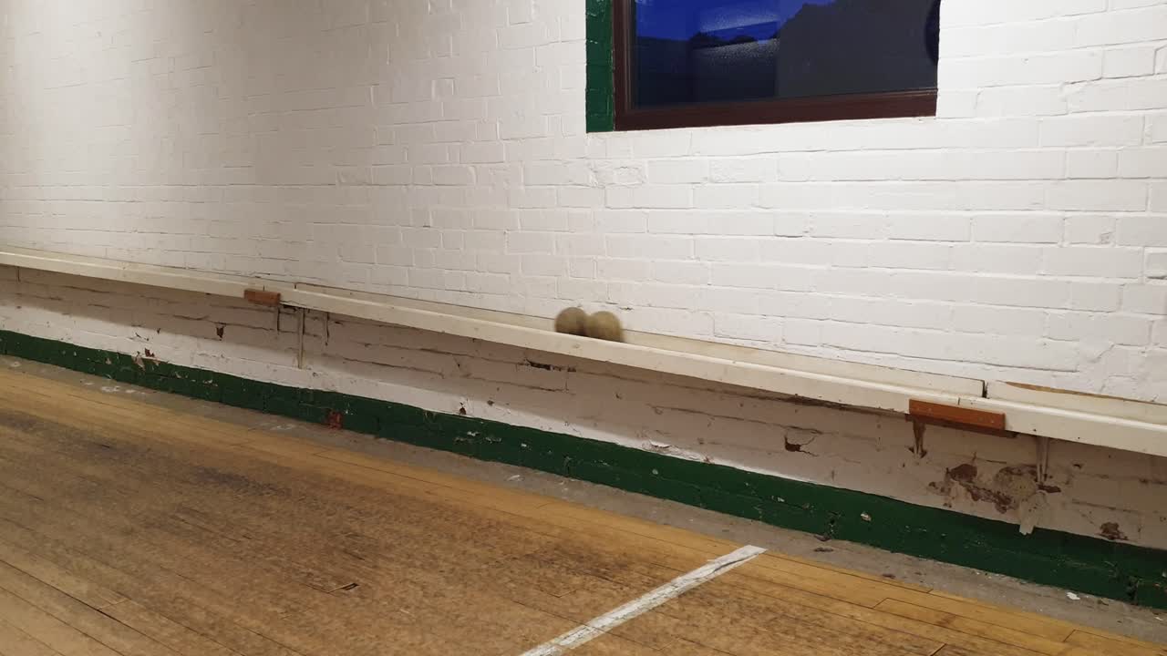 나무 공이 굴러 내려가는 전통적인 영국 술집 게임 스키틀의 촬영