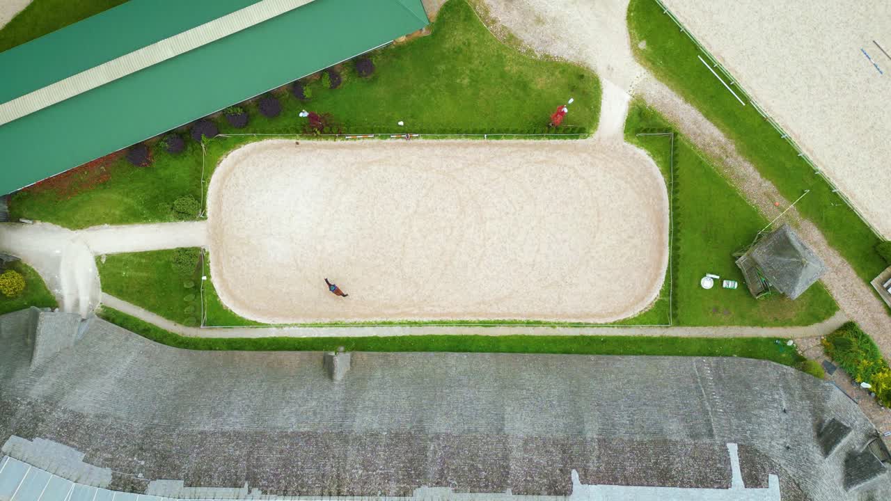 안정 근처 목장에서 걷고 방목하는 말