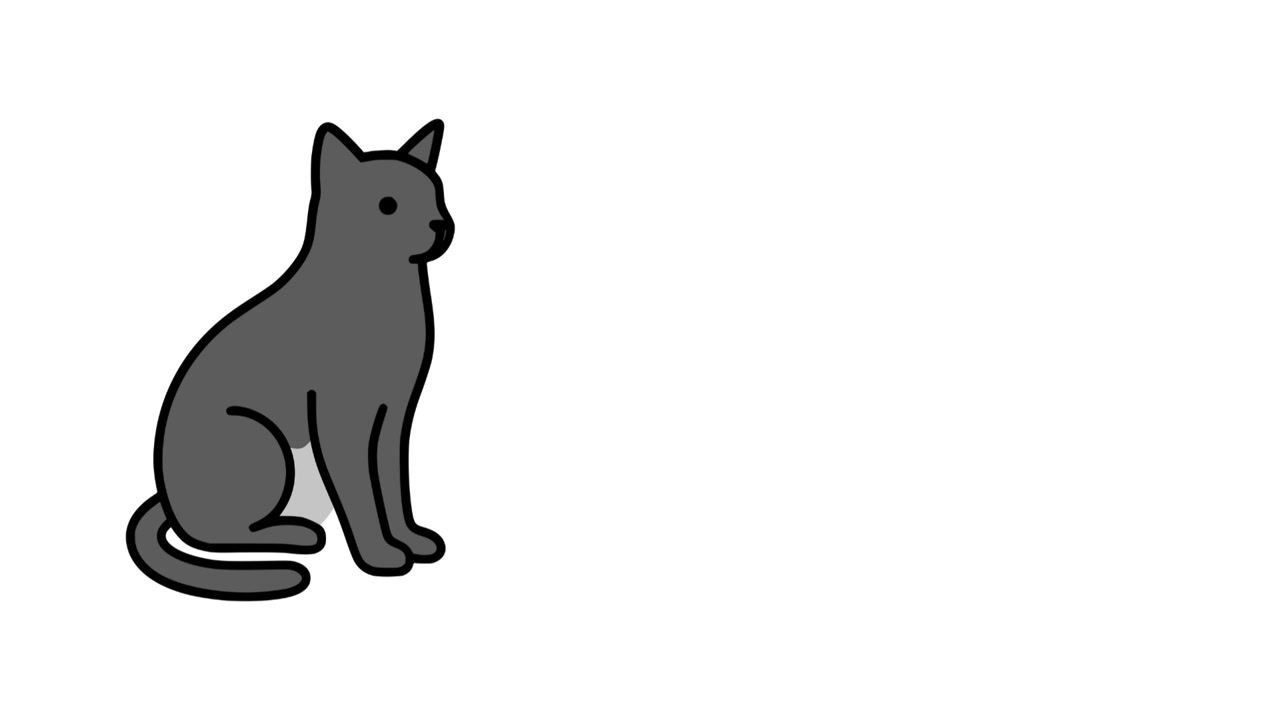 Black cat isolated on white