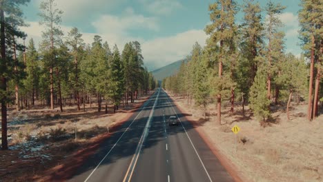 4k aerial country road surrounded by evergreens and mount in the back drone dolly out