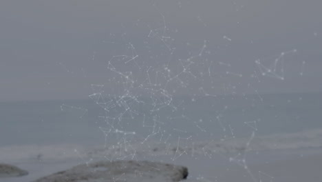 animation of white lines and nodes over calm ocean background, creating network