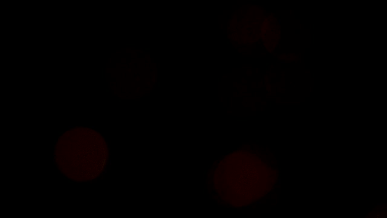 Bokeh Lights