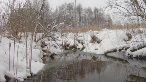 Pan-shot-of-frozen-pond-in-the-forest