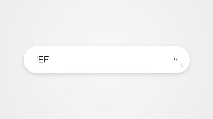 Search engine screen showing a search for IEFA being entered into a web browser