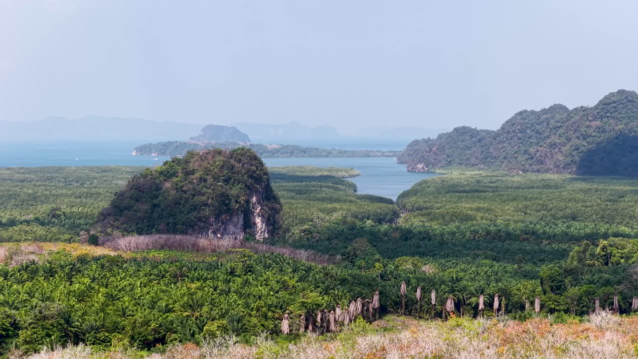 Cảnh quay toàn cảnh rộng các núi đá vôi karst và đồn điền cọ dầu dưới ánh sáng ban ngày rực rỡ ở Thái Lan