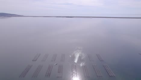 Aerial over seafood oyster farm near S&egrave;te city, south of France