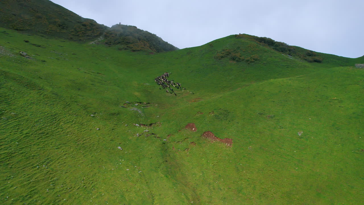 Drones pass from clouds, Nepal's green landscapes, and sheep flocks running on high hills