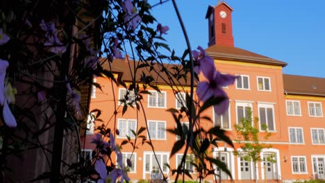 Shot-of-Blooming-Vines-with-an-old-German-Psychiatry-in-the-Background