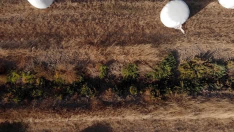vegetación verde y balas de heno cosechadas en un cálido día de verano, drones de arriba abajo
