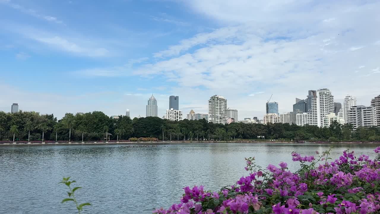 Benchakitti Park Bangkok Thailand – Urban Lake Park with Trees, Green Landscape and Walking Paths