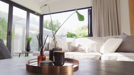 General-view-of-luxury-living-room-with-sofa-and-table