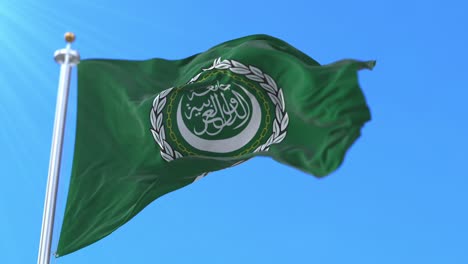 bandera de la liga árabe agitando el viento, lento. bucle