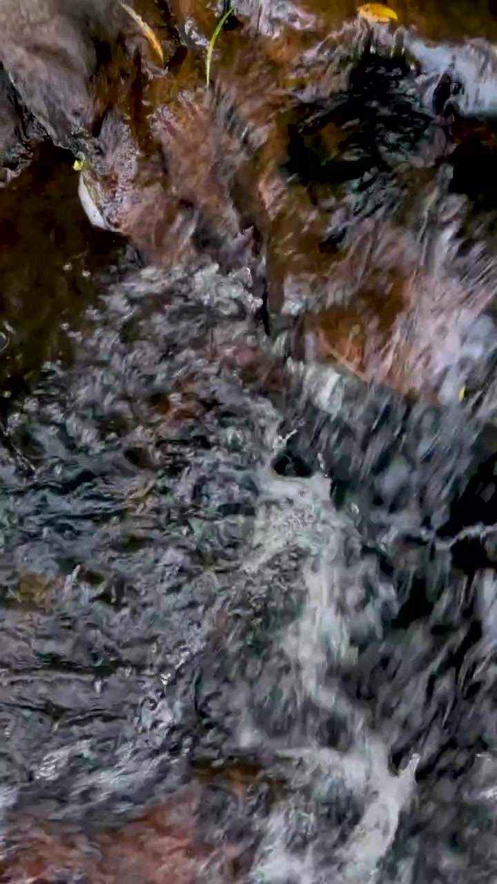 Un'inquadratura verticale ravvicinata di acqua limpida che scorre a cascata e gorgoglia su pietre di fiume scure e bagnate.