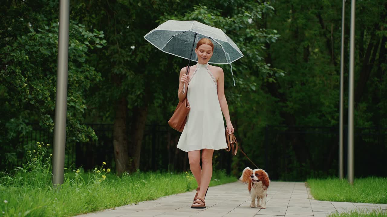 Woman Walking Dog in the Rain