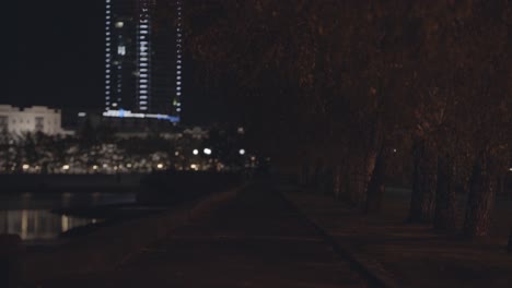 night view of a city park with river and tall buildings