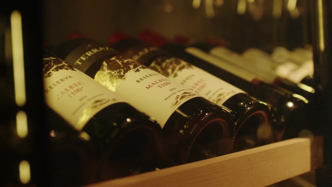 Bottiglie di vino conservate su uno scaffale all'interno di una cantinetta frigo con sportello in vetro scarsamente illuminata