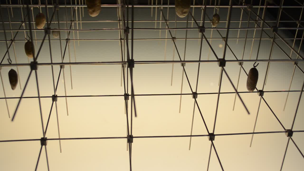 CosmoCaixa Barcellona è un museo della scienza situato a Barcellona, Spagna