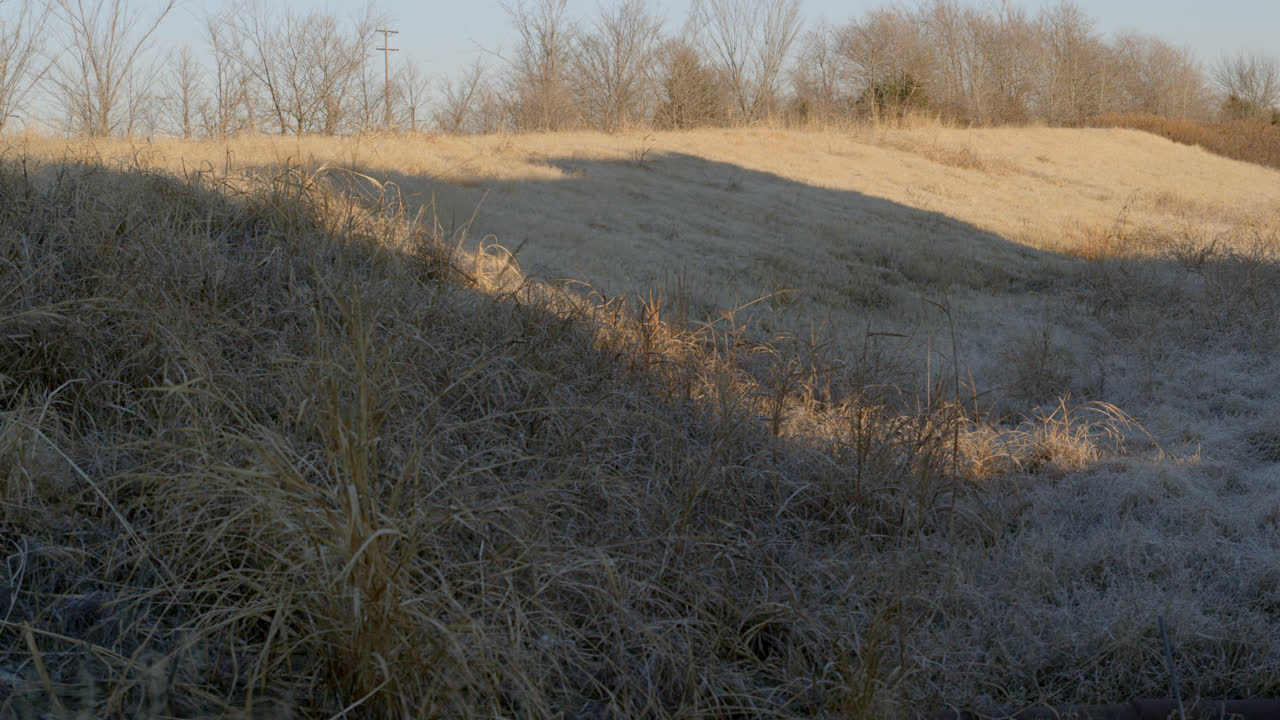 la sombra del tren que atraviesa la hierba de trigo dorada en el campo de texas