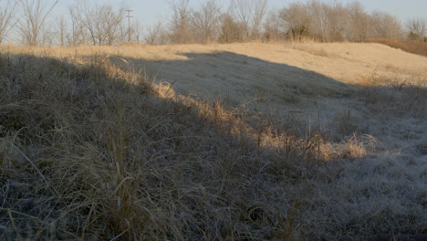 train shadow going across golden wheat grass in texas countryside