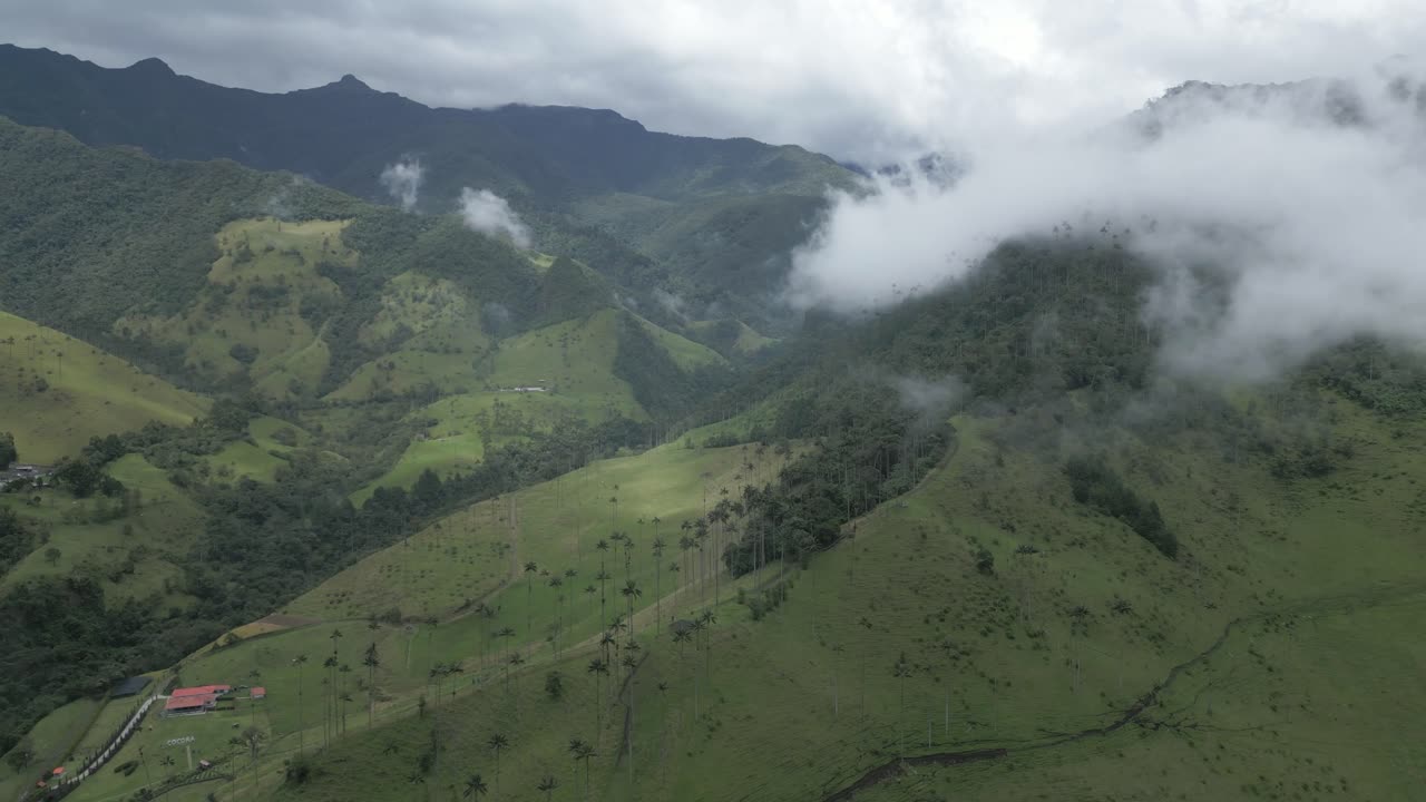 воздушная панорама над долиной кокора и андскими лесами, колумбия департамент квиндио национальный природный парк лос невадос