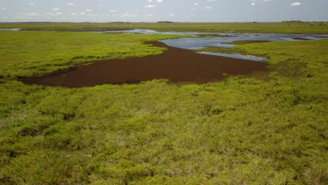 humedales del noreste de argentina disparados con drones