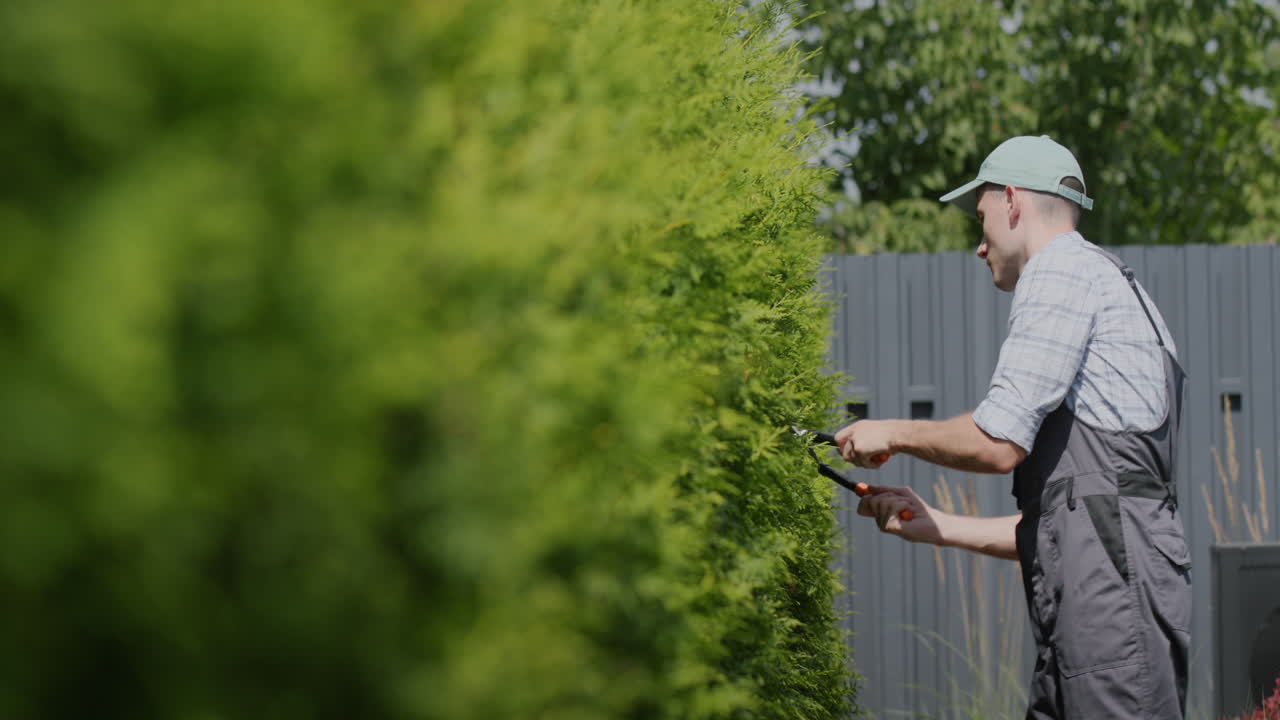 Young gardener in overalls cuts trees in the garden