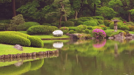 beautiful japanese gardens