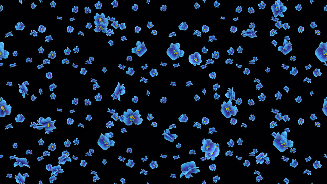 orquídeas azul bucle azulejos cayendo con alfa