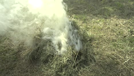 Slow-mo:-light-Bonfire-on-grass