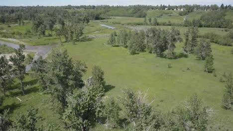 Un-Hermoso-Parque-De-Pastizales-Urbanos