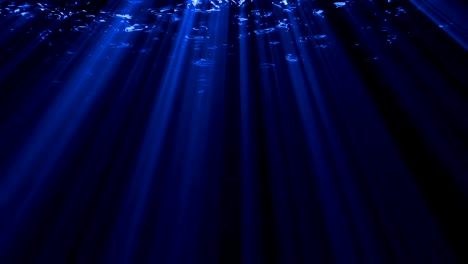 los rayos volumétricos de luz que brillan desde arriba penetran a través del grueso velo de aire.