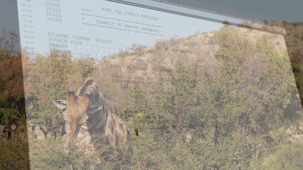Giraffe emerging from thorny shrubs, being overlaid with floating SQL commands in flat design style