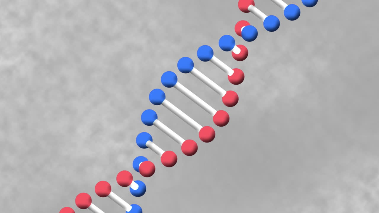 회색 배경 위에 있는 dna 가닥의 애니메이션
