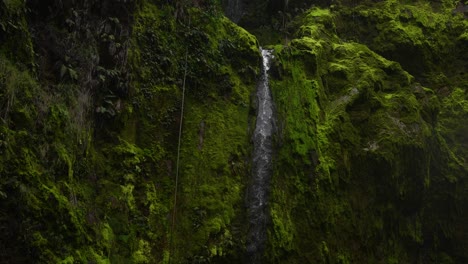 small waterfall on mountain with river