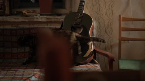 a purebred cat sits on the couch with a guitar on it.