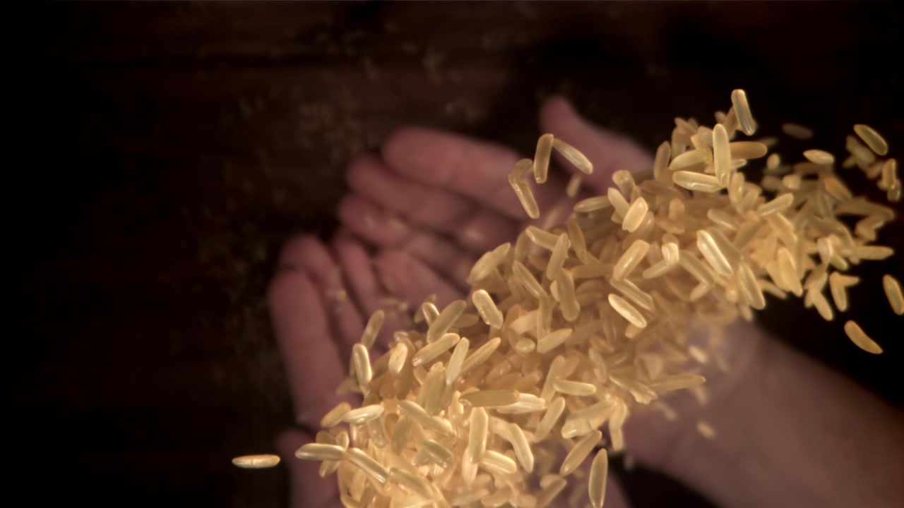Golden Rice Grains Falling into Cupped Hands