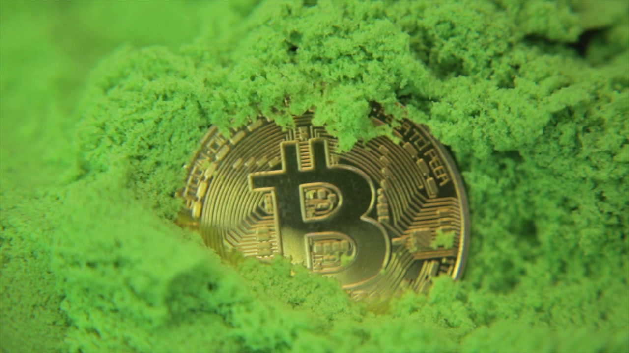 Dito che scopre Bitcoin tra elementi verdi. Mostra investitori che trovano Bitcoin in un mare di verde o prezzi del Bitcoin in aumento