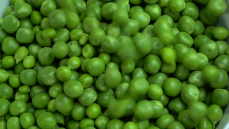 Primer-Plano-De-Guisantes-Verdes-Frescos,-Pisum-Sativum