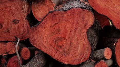 panning shot of a stack of firewood