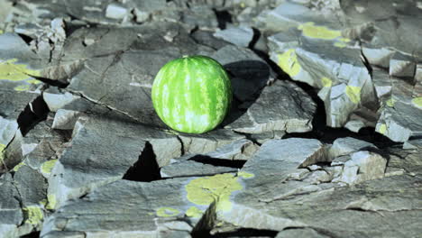 watermelon fruit berry on rocky stones