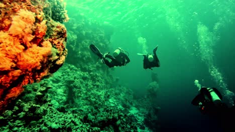 scuba divers in greenish lighting swimming past coral reef