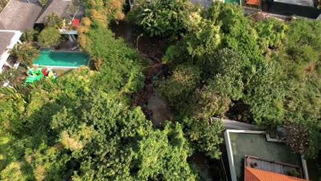 Luftaufnahme-Einer-Flussreinigungsaktion-In-Canggu,-Die-Arbeiter-Inmitten-Dichter-Vegetation-Und-Wohnhäuser-Mit-Einem-Pool-In-Der-Nähe-Zeigt