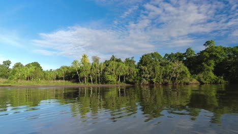 Panoramic-shot-of-a-islet-full-of-lush,-Papua-New-Guinea