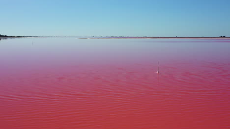 The-historical-town-of-Aigues-Mortes-in-the-Camargue,-France-during-a-sunny-summer-day-which-is-located-next-to-a-pink-salt-lake