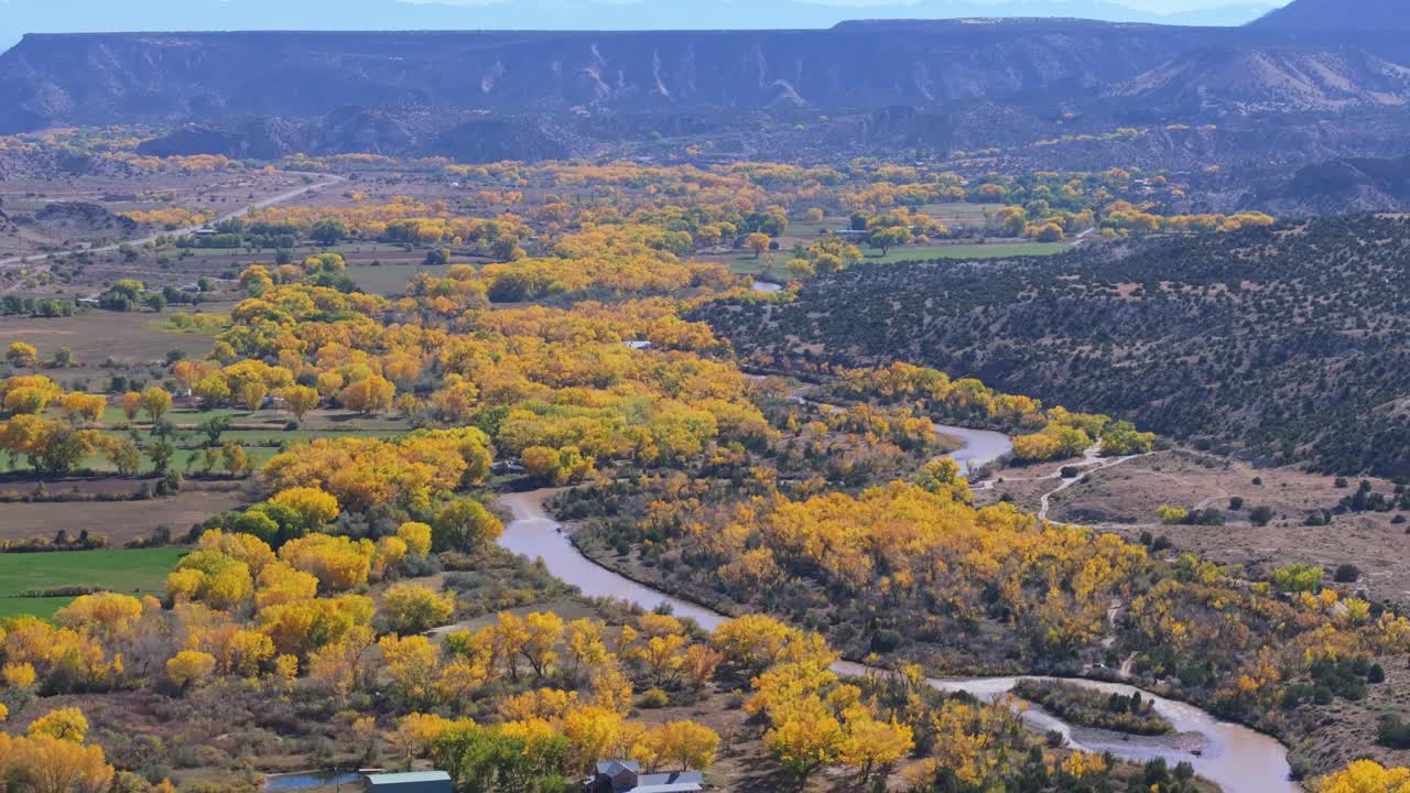 Golden cottonwood trees in Abiquiú, New Mexico during fall along Rio Chama