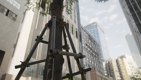 static low-angle shot of scaffolding supporting a tree in downtown city centre