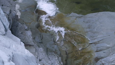 Una-Pequeña-Cascada-Desemboca-En-Una-Piscina-Poco-Profunda-Llena-De-Salmón-Coho-De-Desove-Salvaje